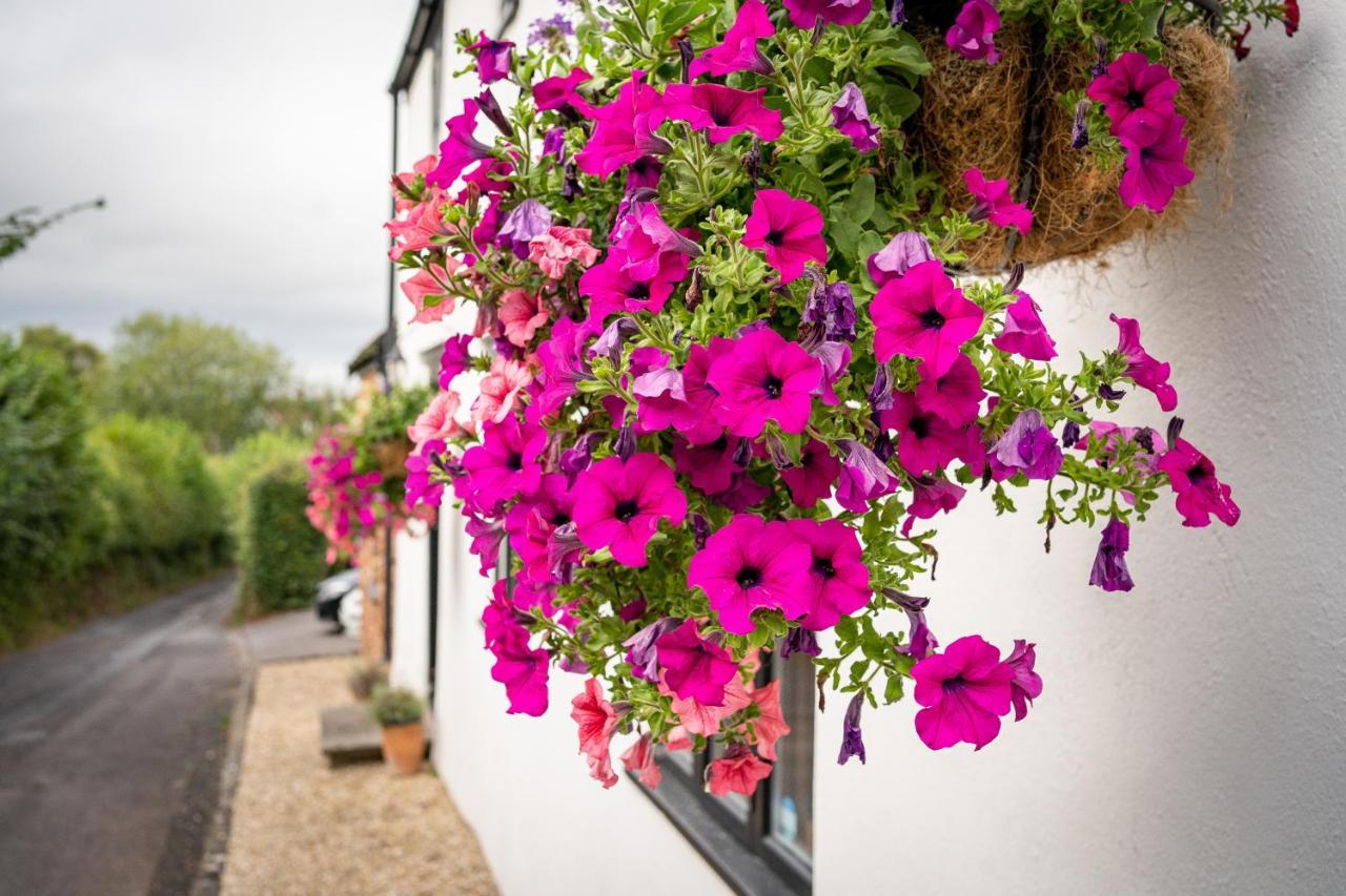 Woodview - Cosy 1840S Cottage In Chew Valley And Mendip Aonb Compton Martin Exterior photo